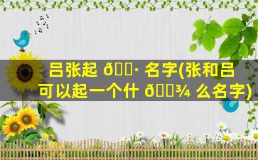 吕张起 🌷 名字(张和吕可以起一个什 🌾 么名字)